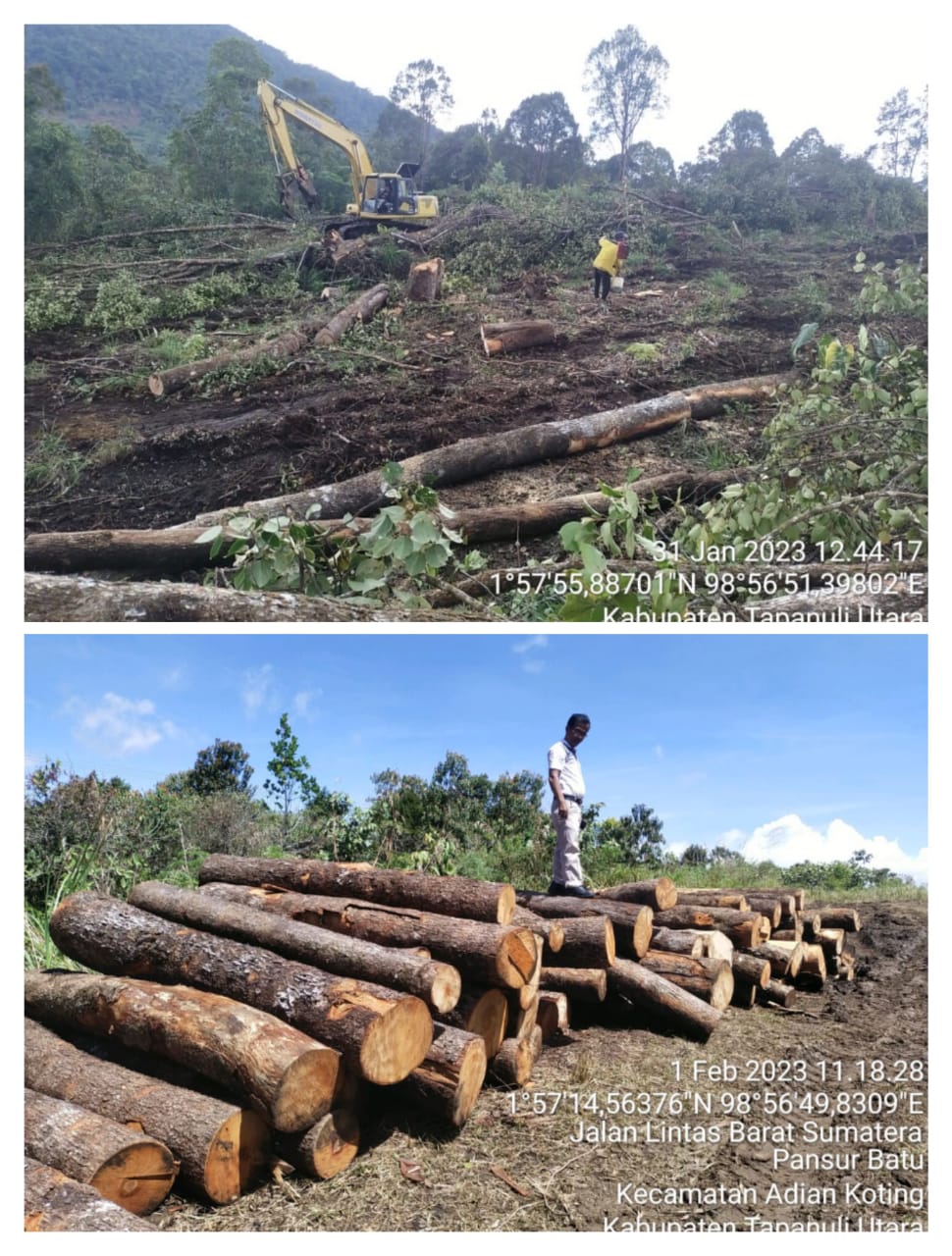 Ada Pembalakan Hutan di Parbubu Dolok, DLH Taput Tidak Tahu
