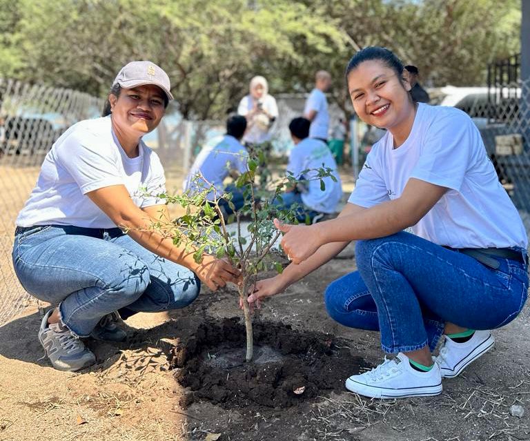 Jaga Kelestarian Lingkungan, PLN Dukung Gerakan Gotong Royong Boyong Pohon Bersama BUMN
