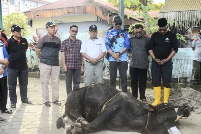 Kemenag Kabupaten Limapuluh Kota Distribusikan Hewan Kurban ke Daerah Terluar