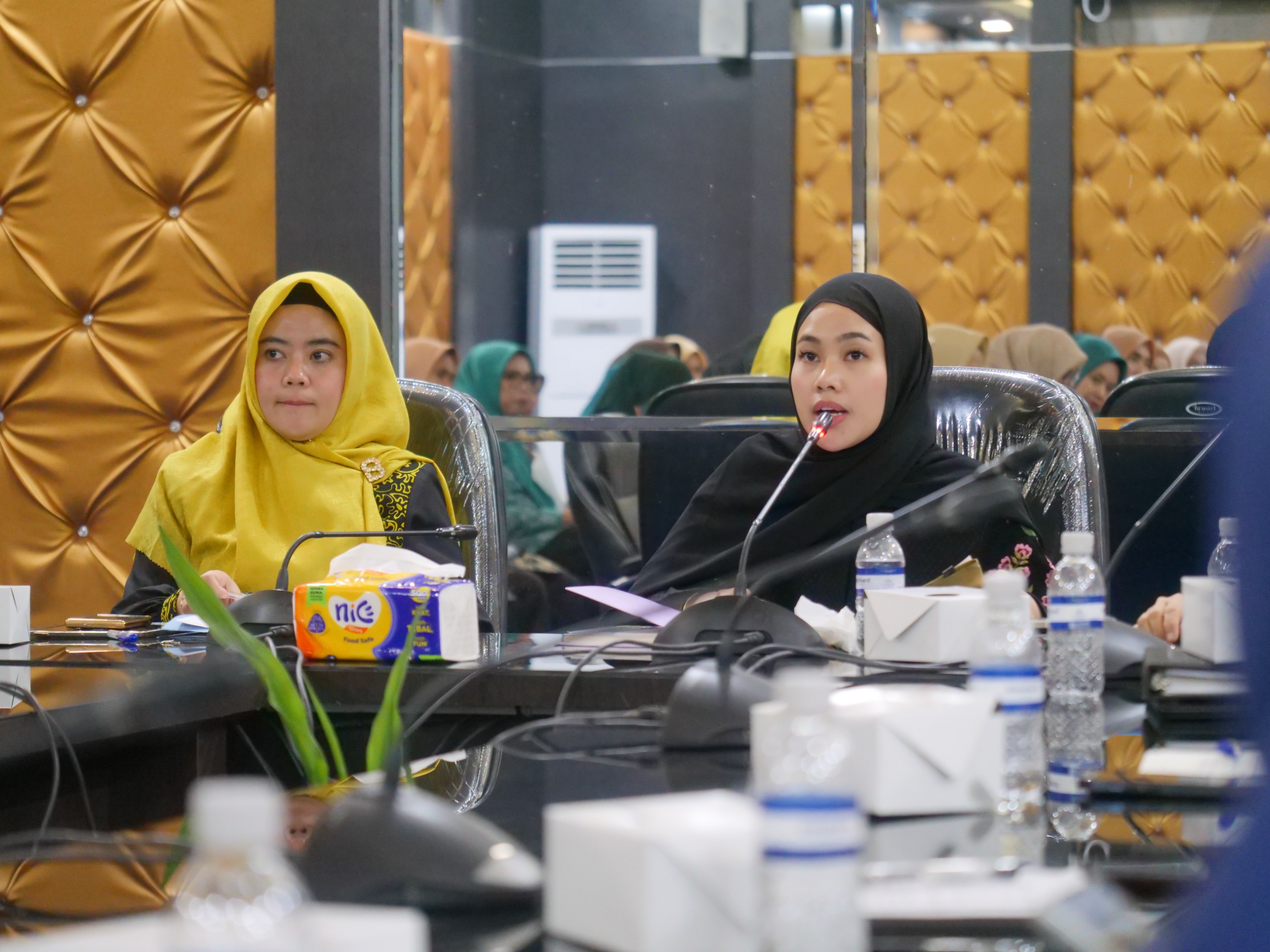 PKK Gelar Rakor, Hafizha Fokuskan pada Konsistensi Program Kerja