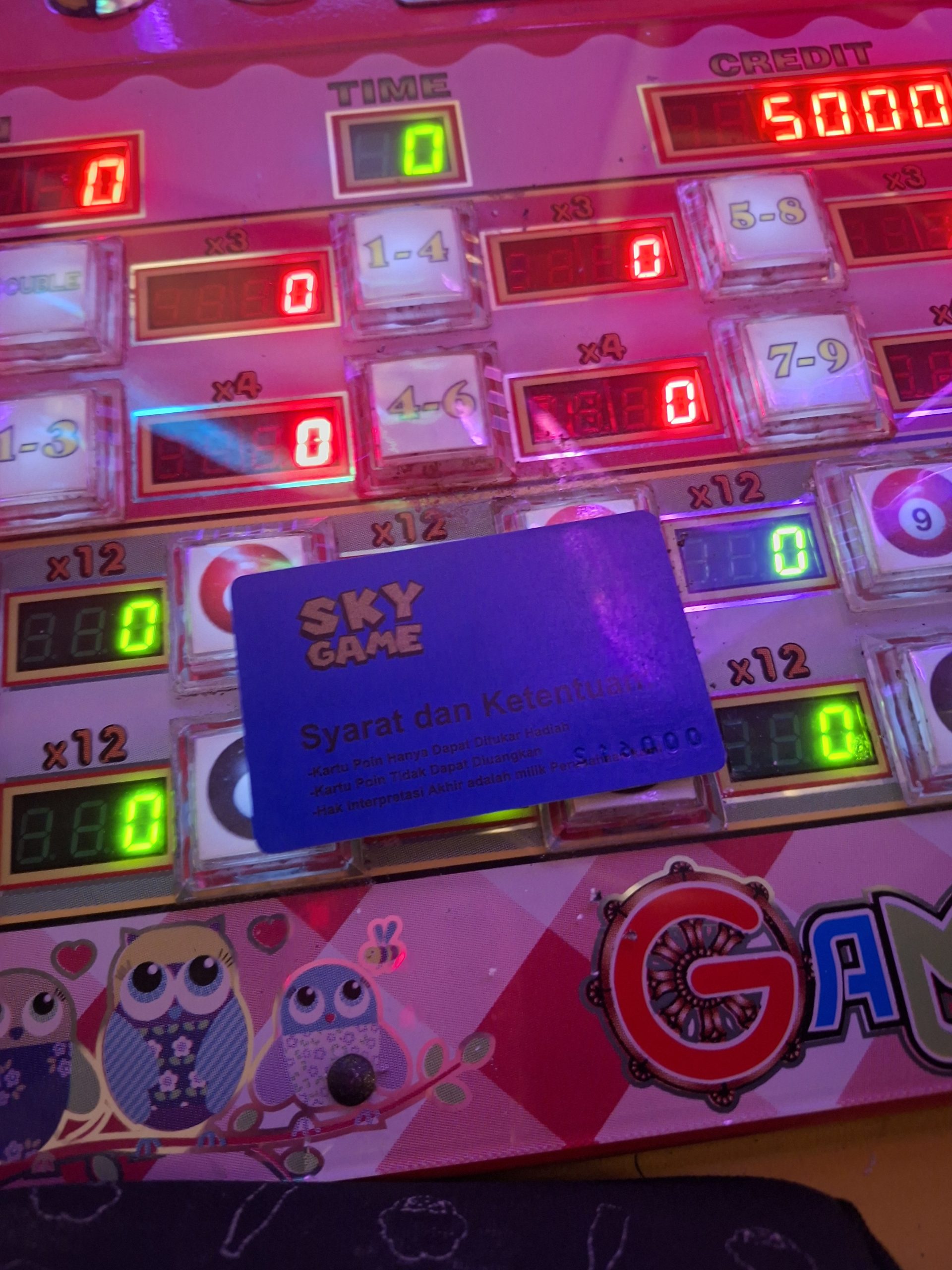 Arena Judi Sky Game Diduga Kebal Hukum, Kegiatan Berjalan Terang-Terangan, Aparat Dinilai Tutup Mata