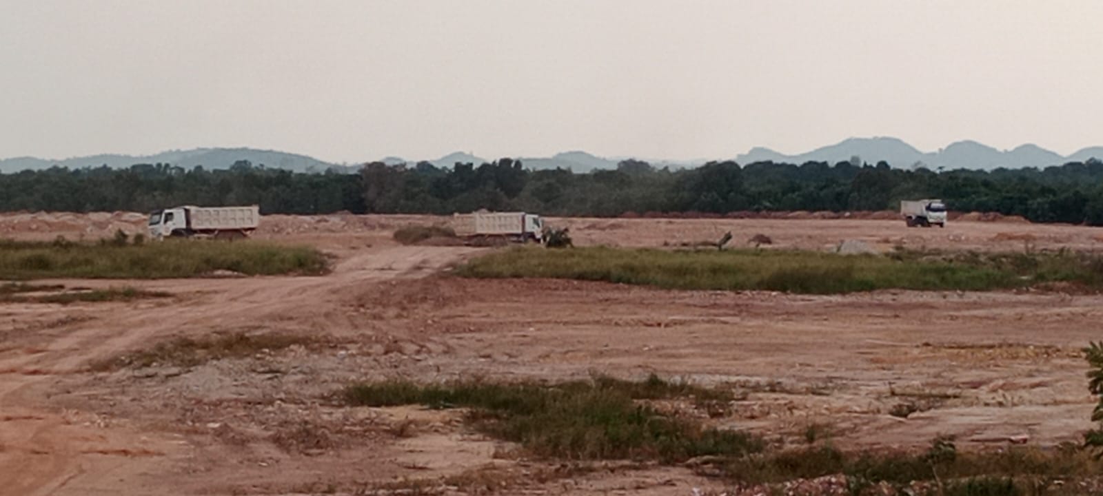 Cut and Fill Puluhan Hektare di Tembesi Disorot, Diduga Timbun Kawasan Mangrov