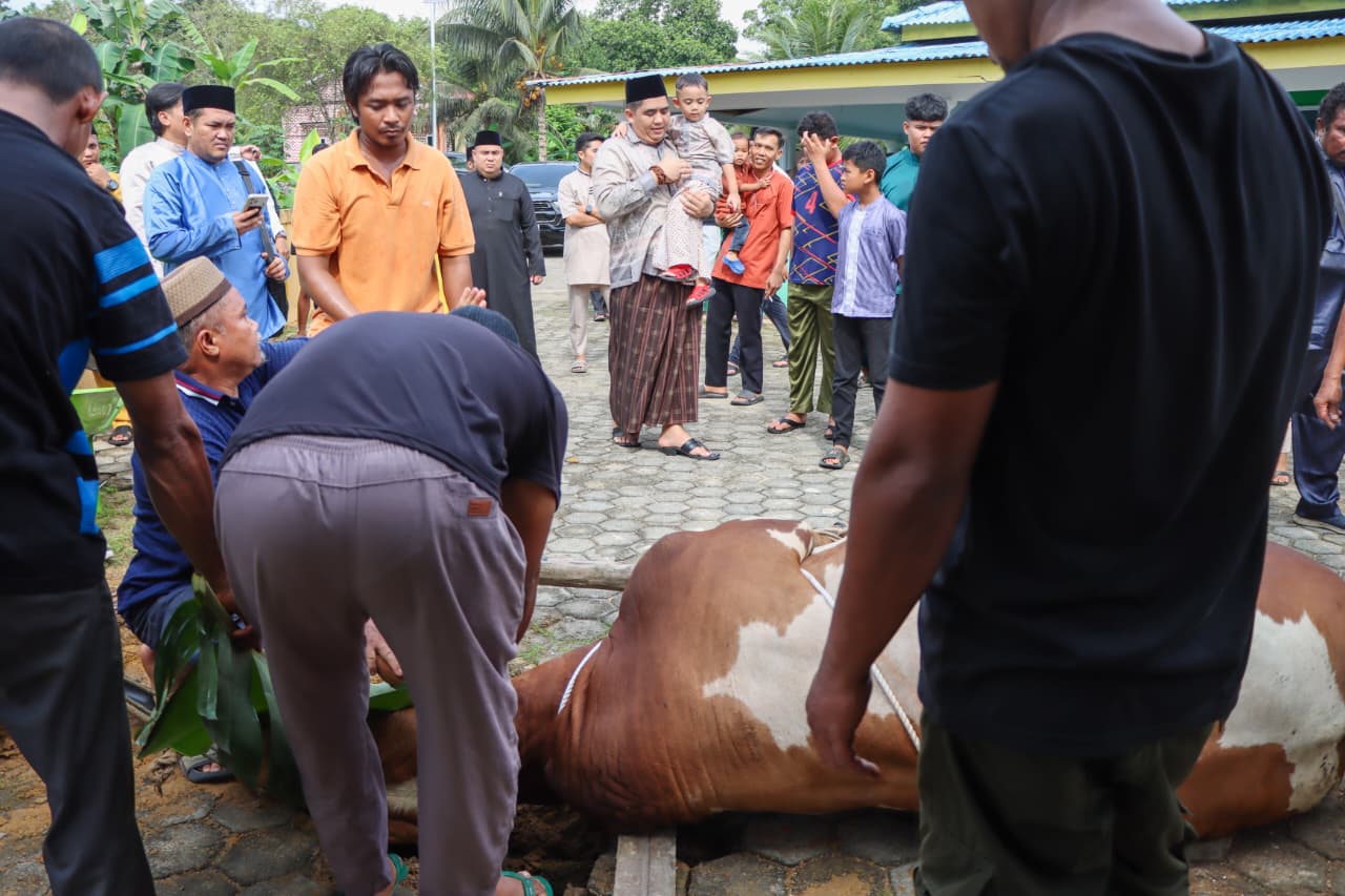 Roby Kurniawan Serahkan Sapi Kurban Presiden RI, Perkuat Semangat Berbagi di Bintan
